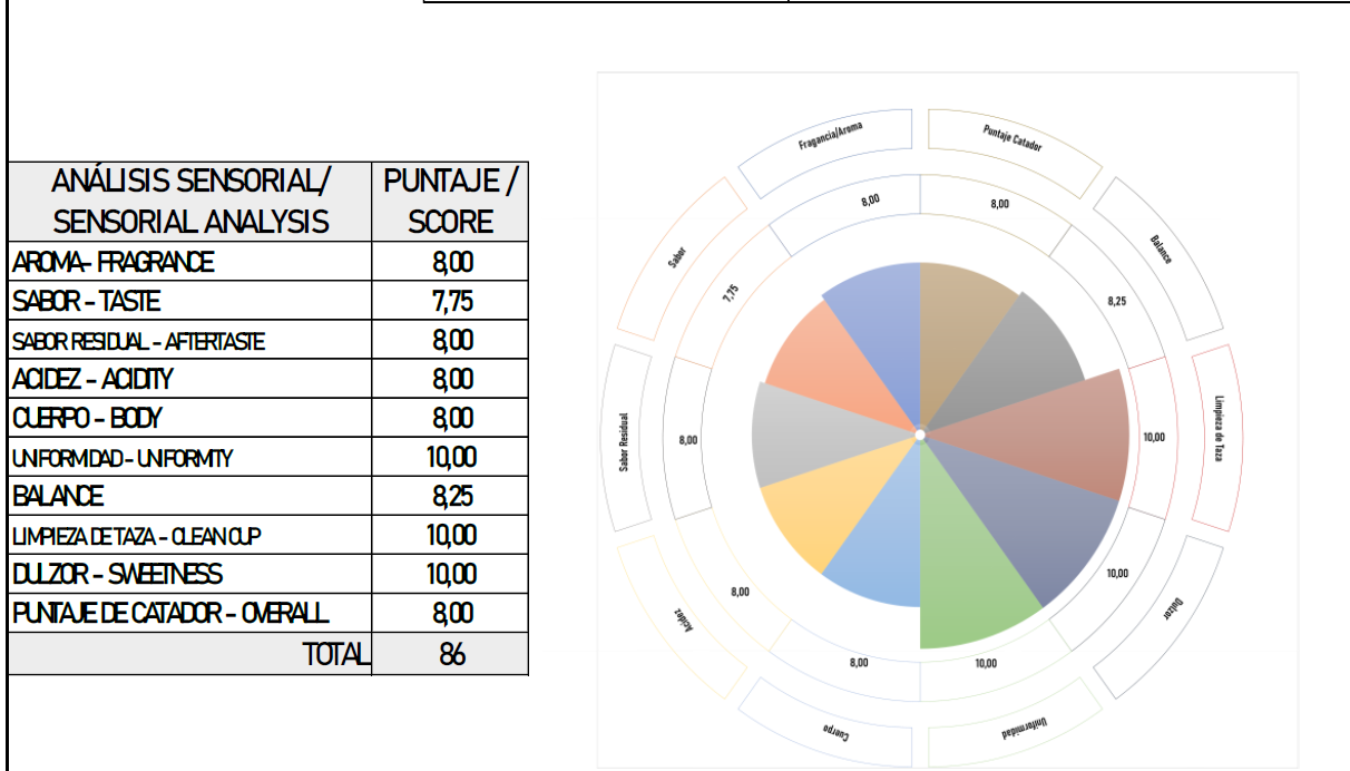 GREEN COFFEE - Huila to UNITED KINGDOM VARIETY PINK BOURBON SCAA 86 x 60 KG **Shipping included** - Imagen 2