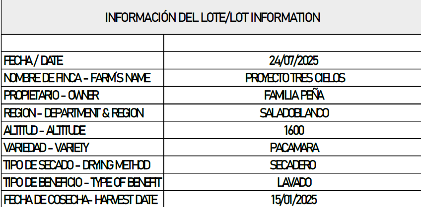 GREEN COFFEE - Huila to UNITED KINGDOM - VARIETY PACAMARA SCAA 87 x 60 KG **Shipping included** - Imagen 2